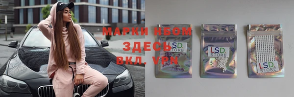 винт Алексин